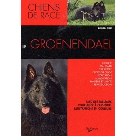 Le groenendael