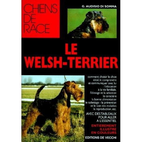 Le Welsh-terrier