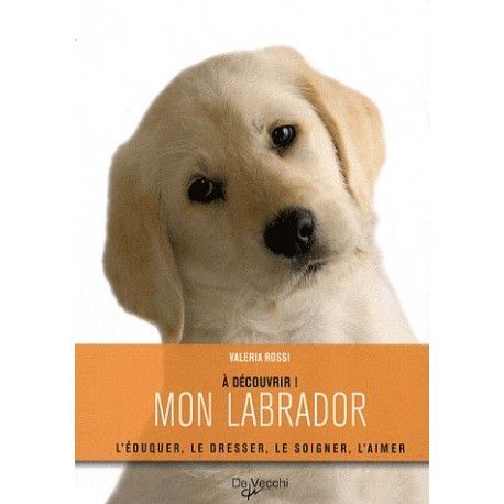 Mon labrador