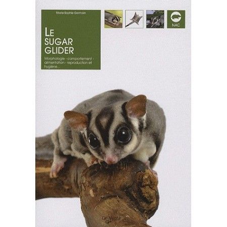 Le sugar glider