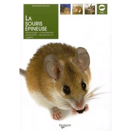 La souris épineuse