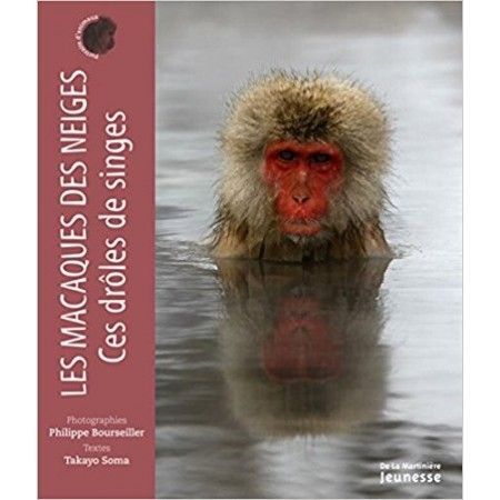 Les macaques des neiges