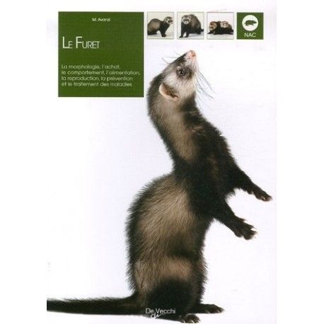 LE FURET