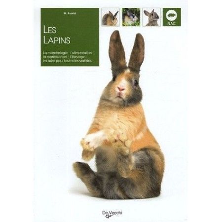 LES LAPINS