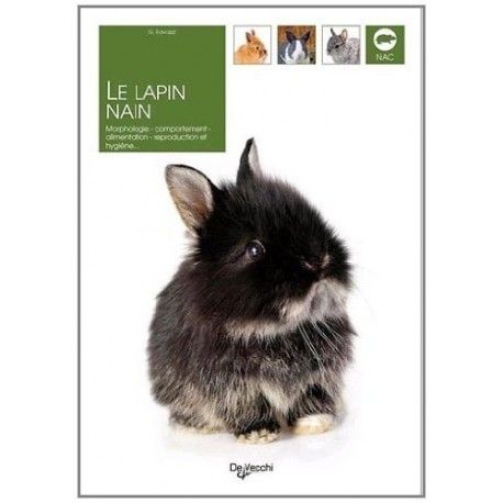 LE LAPIN NAIN