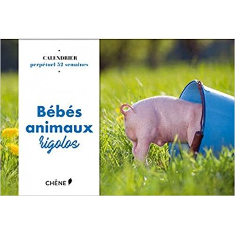 Calendrier 52 semaines bébés animaux rigolos