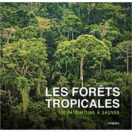 Les forêts tropicales