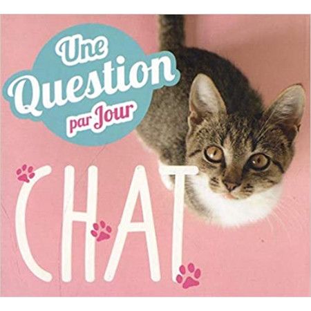 Une question de chat par jour