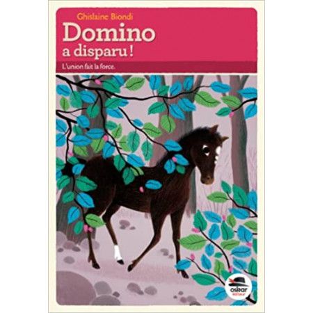 Domino a disparu - 9791021401068
