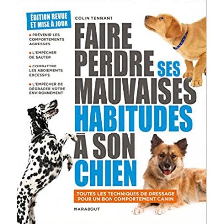 Faire perdre ses mauvaise habitudes à son chien