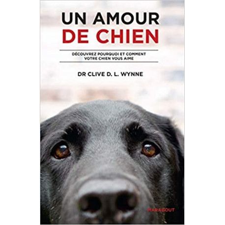 Un amour de chien