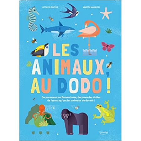 Les animaux, au dodo !