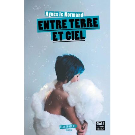 Entre terre et ciel - 9782354887742