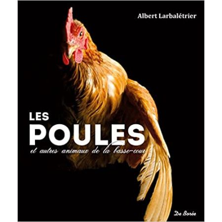 Les poules et autres animaux de la basse-cour