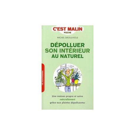 Dépolluer son intérieur au naturel