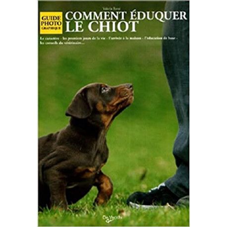 Comment éduquer le chiot