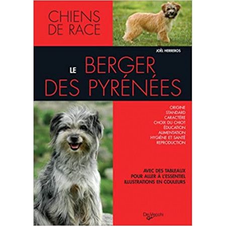 Le berger des Pyrénées