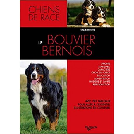 Le bouvier bernois