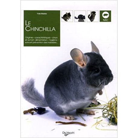 Le chinchilla