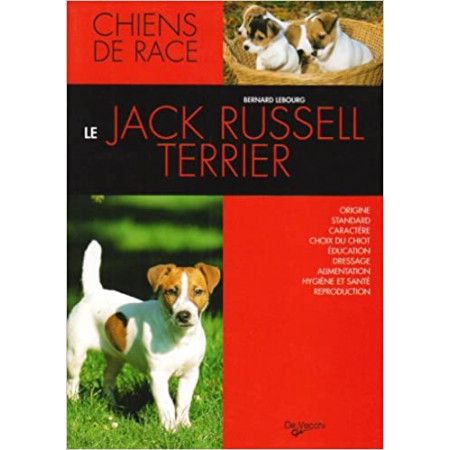 Le Jack Russell Terrier