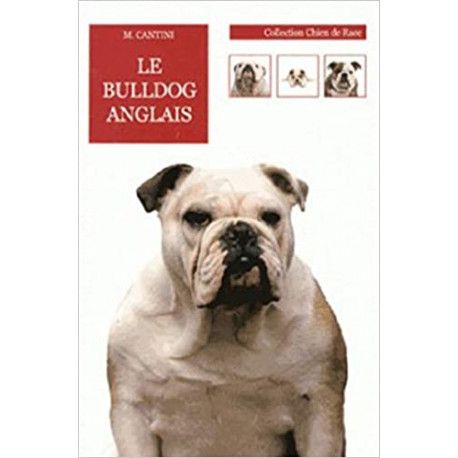 Le Bulldog anglais