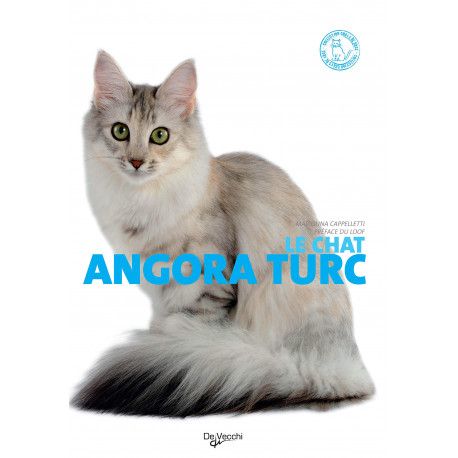 Le chat angora turc