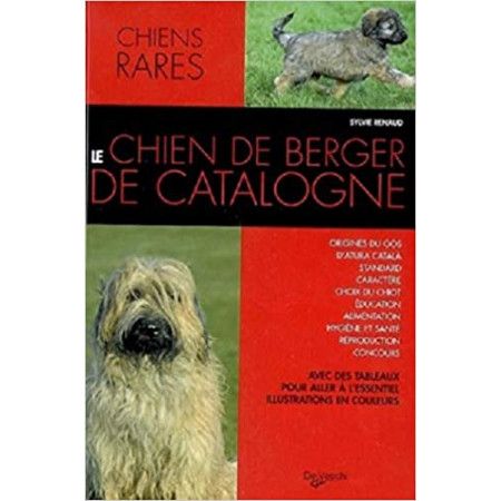 Le chien de berger de Catalogne