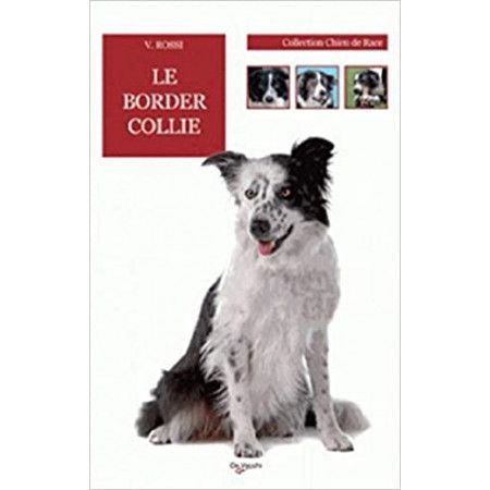 Le Border Collie