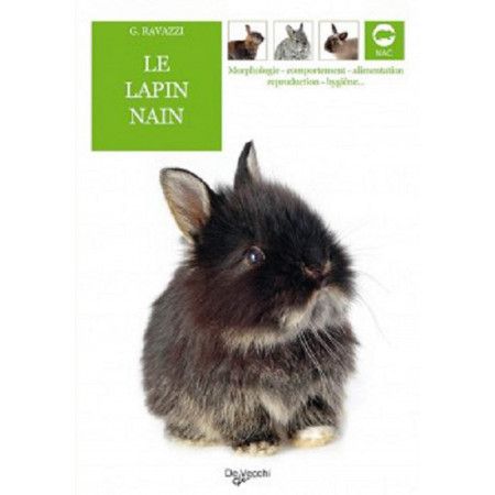 Le lapin nain