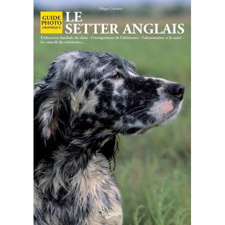 Le Setter anglais