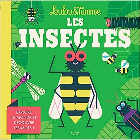 Les insectes - Explore le monde et découvre les mots !