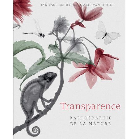 Transparence - Radiographie de la nature