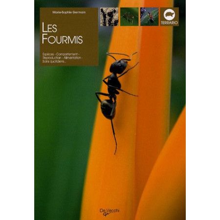 Les fourmis