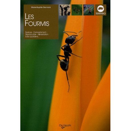 Les fourmis