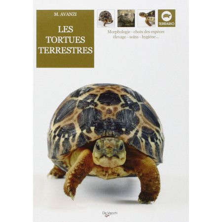 Les tortues terrestres