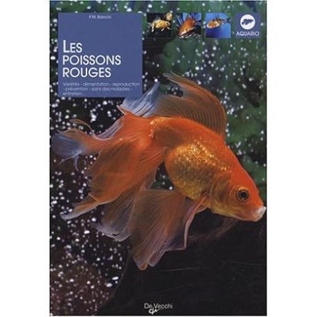 Les poissons rouges