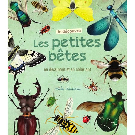Je découvre les petites bêtes en dessinant et en coloriant - 9782378790837