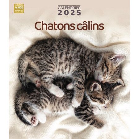 Calendrier 2025  Chatons câlins