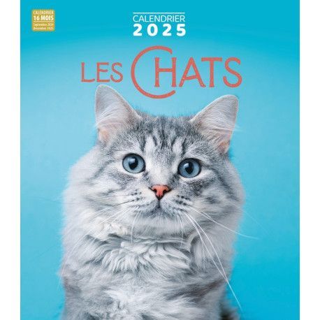 Calendrier 2025  Les Chats