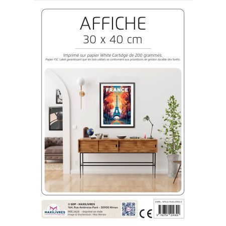 Poster - France - 9782754229302