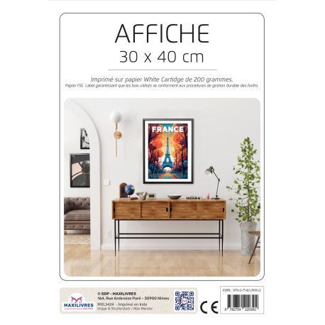 Poster - France - 9782754229302