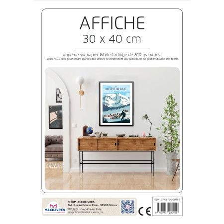 Poster - Alpe Le mont Blanc - 9782754229159