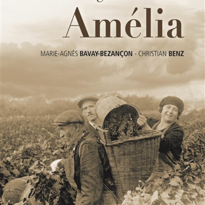 Les vignes de l'exil. Vol. 3. Amélia