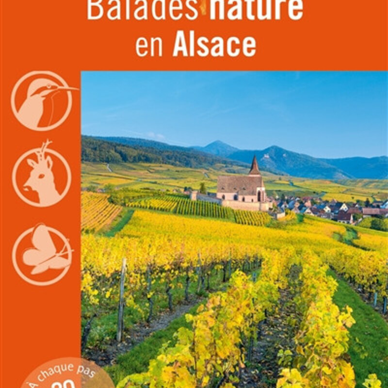 Balades nature en Alsace