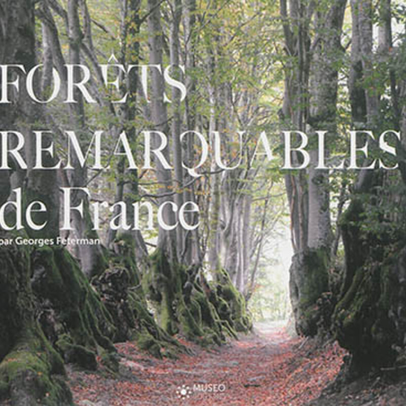 Forêts remarquables de France