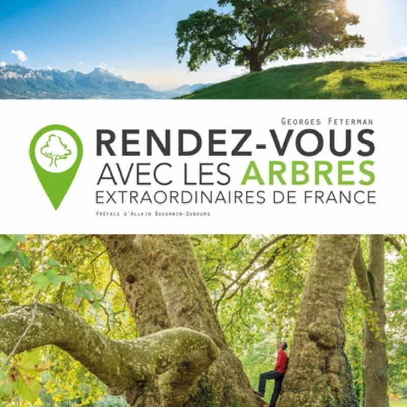 Rendez-vous avec les arbres extraordinaires de France