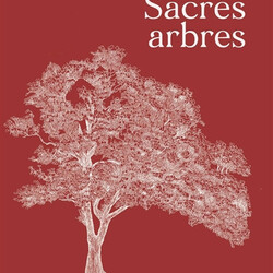 Sacrés arbres