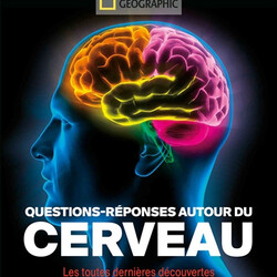 Questions-réponses autour du cerveau - les toutes dernières découvertes - 9782822902656