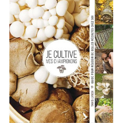 Je cultive mes champignons : guide pour réussir de belles récoltes chez soi