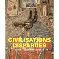 Civilisations disparues : les trésors du passé révélés pierre à pierre